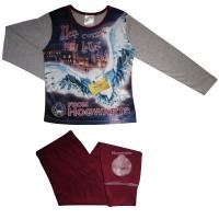Girls Harry Potter 'Here Comes My Letter' Pyjamas