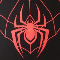 Spider-Man - Miles Morales Web - Boys T-Shirt