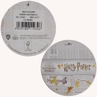 Boys Harry Potter Hogwarts Express Pyjamas 