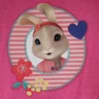 Girls Peter Rabbit Pyjamas