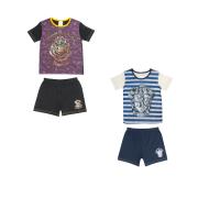 Girls 2 Pack Harry Potter Shortie Pyjamas