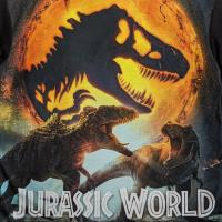 Boys Jurassic World Pyjamas - Universal Pictures