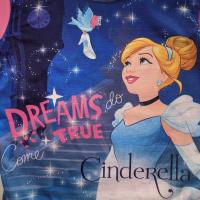 Disney Cinderella Pyjamas - Toddler Girls - Dreams Do Come True