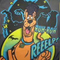 Boys Scooby Doo Pyjamas