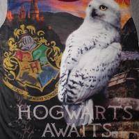 Girls Harry Potter 'Hogwarts Awaits' Pyjamas