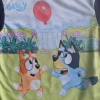 Bluey Pyjamas - Boys Short PJs 